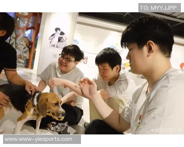 esports数据重磅专题探讨TES快攻革新背后的战术思考与实践探索